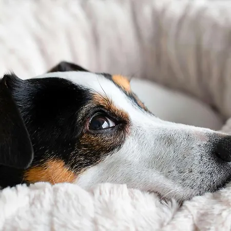 Ibis Budget Sud 2* Poitiers